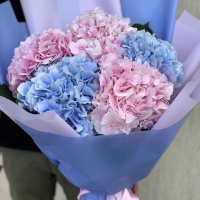 Букет из 5 голландских гортензий микс в Звенигороде