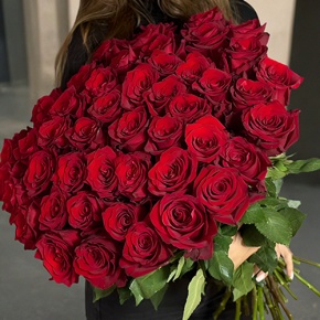 Букет 51 роза Эквадор Эксплорер (70 см) в Звенигороде