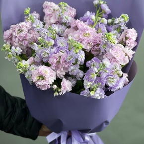 Букет из 15 ароматных маттиол микс в Звенигороде