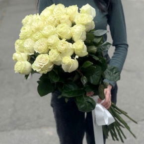 Монобукет из 25 роз Эквадор Мондиаль (80 см) в Звенигороде