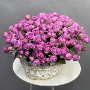 Композиция в корзине из 35 кустовых пионовидных роз Мисти Баблз в Звенигороде