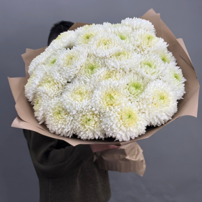 Букет из 27 хризантем Магнум в Звенигороде