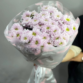 Букет "Нежный комплимент" из 9 кустовых хризантем в Звенигороде