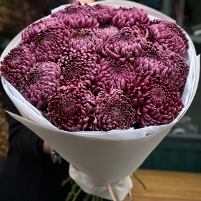 Букет 21 винной хризантемы Бигоуди в Звенигороде