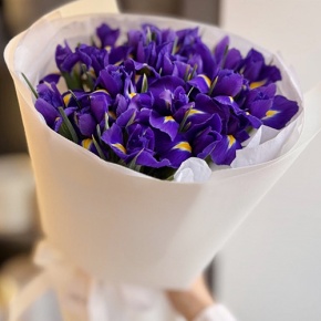 Букет из 21 ириса в Звенигороде