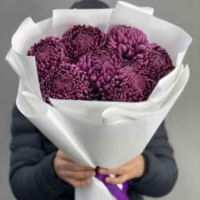 Букет "Винная легенда" из 7 хризантем Бигоуди в Звенигороде