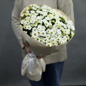 Букет "Милая моя" из 17 хризантем сантини в Звенигороде