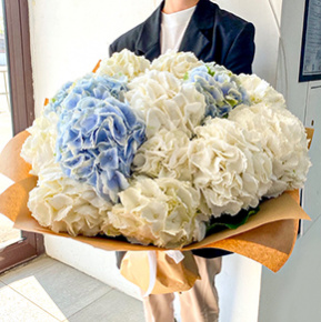 Букет-облако из Голландских гортензий в Звенигороде