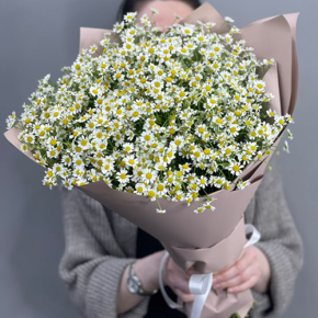 Букет из 17 полевых ромашек в Звенигороде