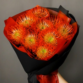 Букет из 9 лейко в Звенигороде