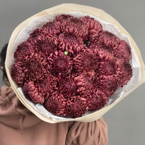 Букет 21 шоколадной хризантемы Бигоуди в Звенигороде