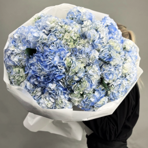 Букет из 23 синих гортензий в Звенигороде
