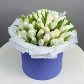 Букет из 49 белых тюльпанов в синей коробке в Звенигороде