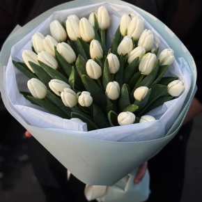 Букет из 31 белого тюльпана в Звенигороде