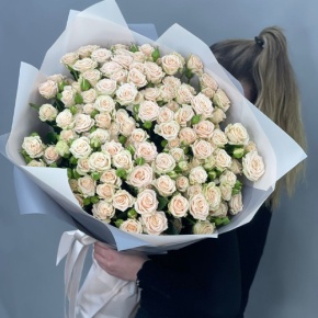 Букет из 25 кремовых кустовых роз (70 см) в Звенигороде
