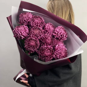 Букет "Изобилие" из 11 винных хризантем Бигоуди в Звенигороде