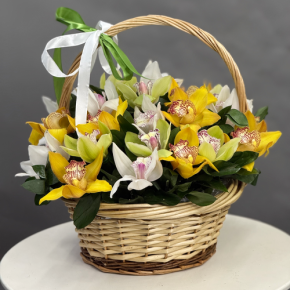 Композиция в корзине из 25 орхидей микс в Звенигороде