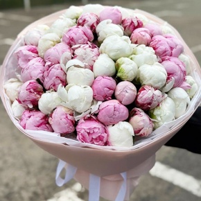 Букет "Флеш-рояль" из 49 нежных пионов микс в Звенигороде