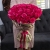 Букет 51 роза Эквадор Пинк Флоид (60 см) в Звенигороде