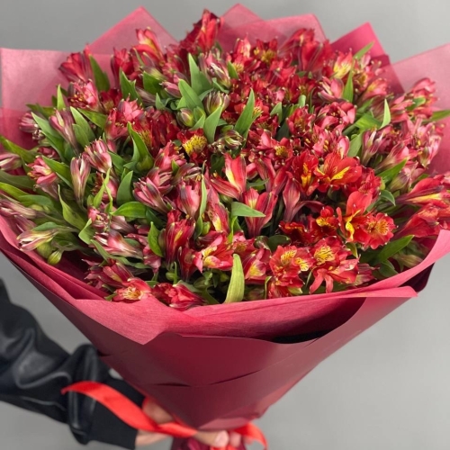 Монобукет из 25 красных альстромерий в Звенигороде