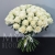 Букет 75 белых роз Эквадор Мондиаль (80 см) в Звенигороде Букет 75 белых роз Эквадор Мондиаль (80 см) в Звенигороде