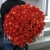 Букет 101 коралловая роза (60 см) в Звенигороде