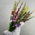 Букет из 25 гладиолусов микс в Звенигороде