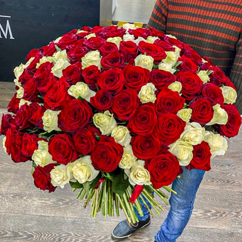 Букет 151 роза красный и белый микс (60 см) в Звенигороде