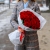 Букет из 25 красных роз (50 см) в Звенигороде