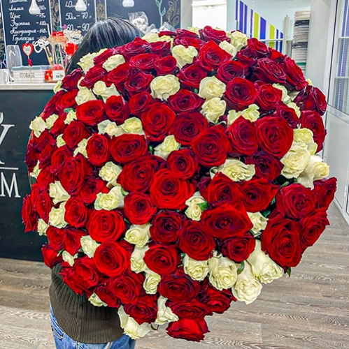 Букет 151 роза красный и белый микс (60 см) в Звенигороде