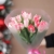 Букет "Фламинго" из 11 пионовидных тюльпанов в Звенигороде