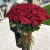 Букет из 101 красной розы (90 см) в Звенигороде Букет из 101 красной розы (90 см) в Звенигороде