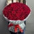 Букет 75 красных роз (50 см) в Звенигороде Букет 75 красных роз (50 см) в Звенигороде