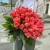 Букет 51 роза коралл (60 см) в Звенигороде