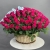 Композиция в корзине из 151 малиновой розы в Звенигороде Композиция в корзине из 151 малиновой розы в Звенигороде
