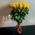Букет 25 желтых роз эквадор (60 см) в Звенигороде