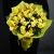 Букет из 13 лимонных орхидей в Звенигороде